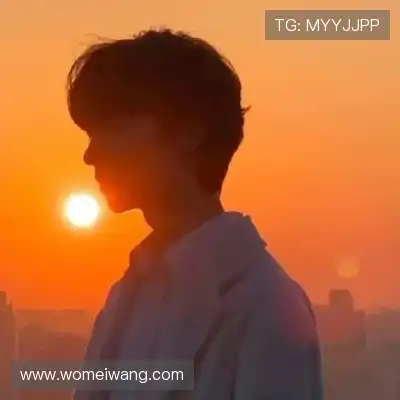 明贞梦