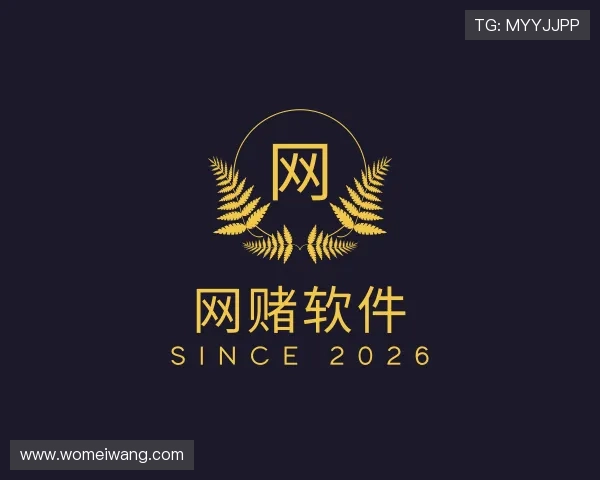 发现网赌软件